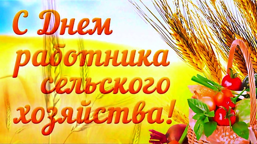 21 ноября – День работника сельского хозяйства Алексеевского муниципального района